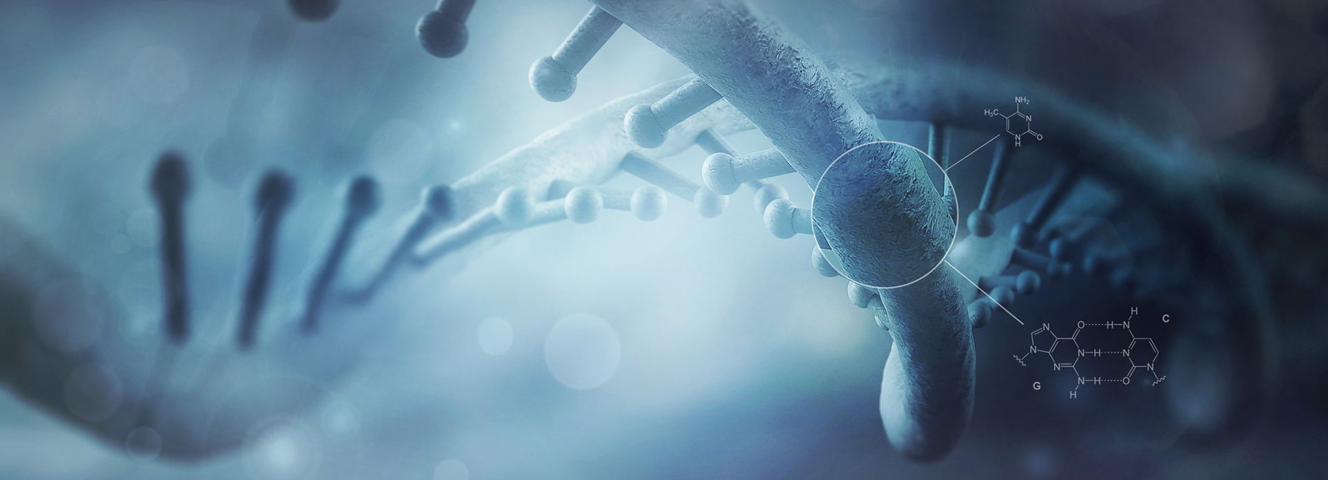 自然科学基金委新规严厉惩处依托单位违规行为