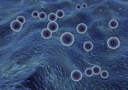 快讯！上海宣布：争取允许外商投资人体干细胞、基因诊断与治疗技术开发和应用，推进医疗科技领域的项目合作和取消外资准入限制！