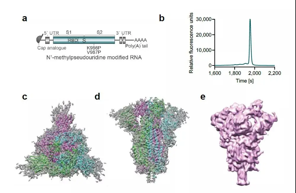 市值增加2000亿！辉瑞等公司3期临床中期有效性分析显示新冠疫苗90%有效