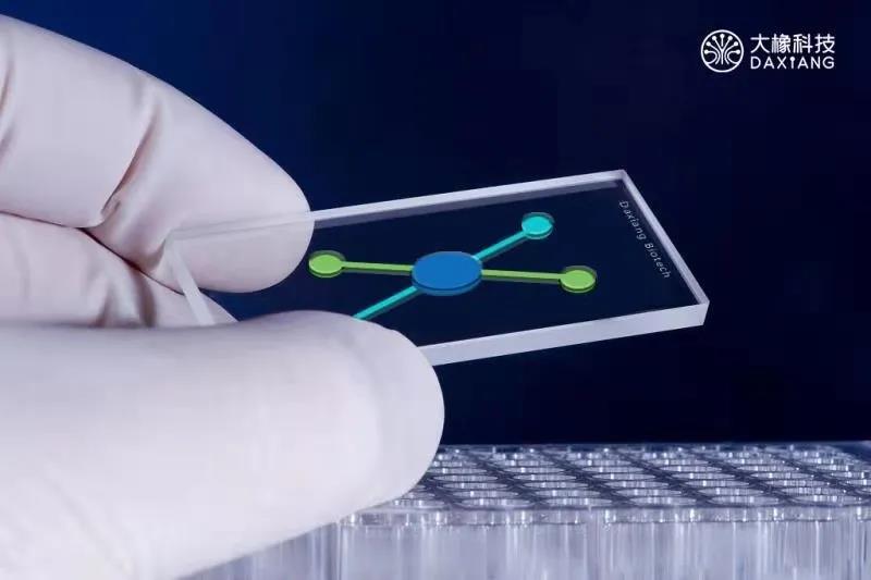 【快讯】大橡科技完成数千万A+轮融资，洪泰基金领投