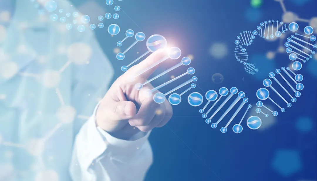 Cell Res. | 突破！黄超兰与高福团队描绘新冠刺突蛋白糖基化图谱, 揭示“O-Follow-N”糖基化新规律