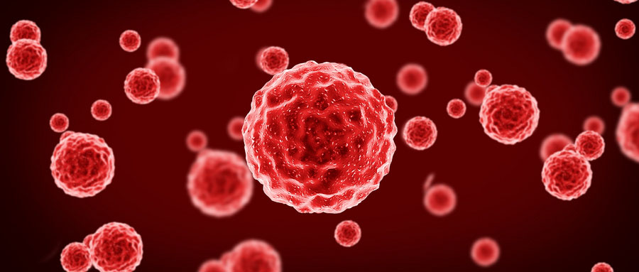 【Nature】体型越大，是不是越容易得肿瘤？“佩托悖论”为癌症之谜提供了新的见解