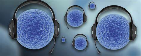 【研究】细胞的命运竟然是由“交流”决定的！