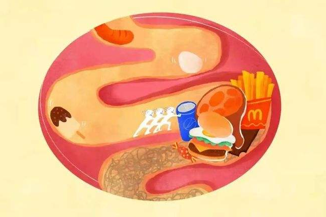 【Cell子刊】膳食脂肪“走错路”，脂肪肝找上门