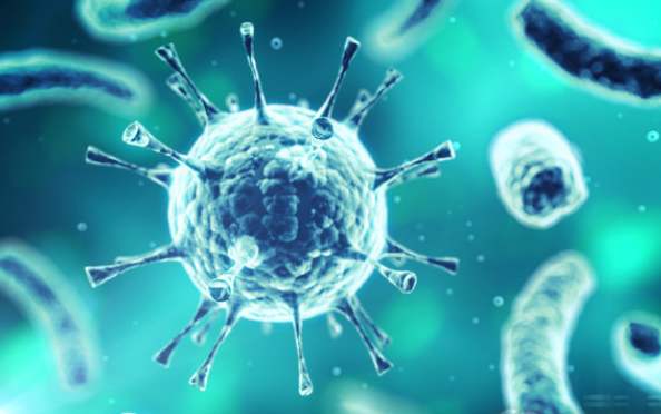 【研究】破坏癌细胞增殖且诱导其死亡的机制——带来新的癌症治疗策略