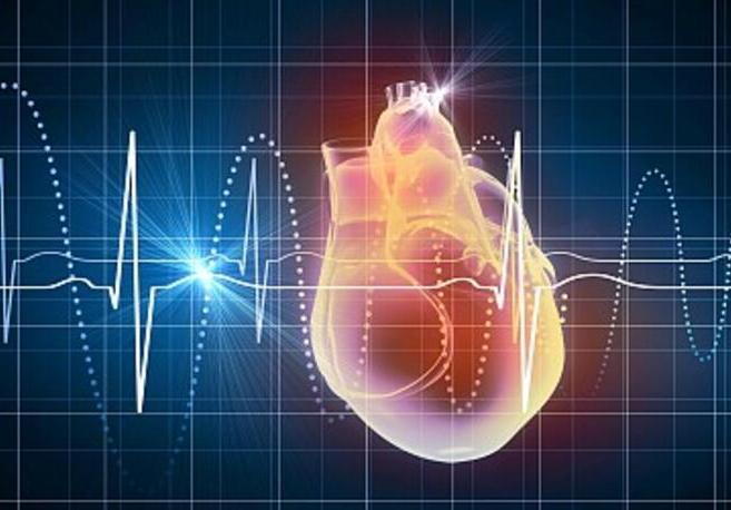 【Nature子刊】使用干细胞以再生心脏！