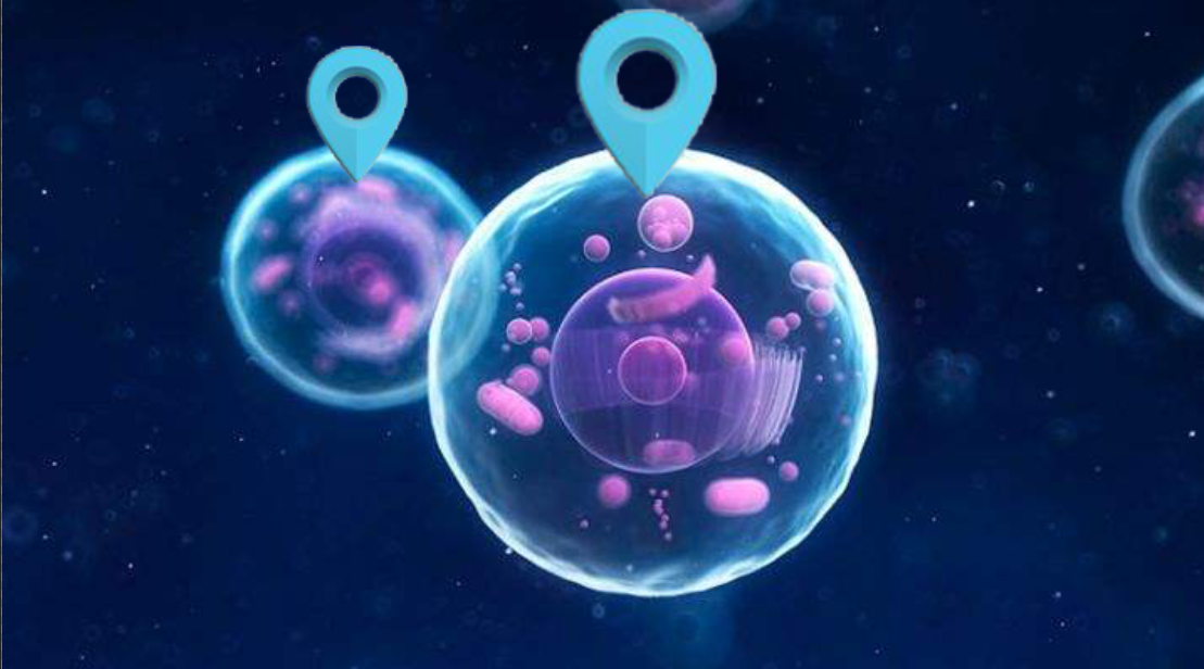 【Science】突破！首次实现对每一个细胞进行GPS定位，有望开辟全新治疗途径！