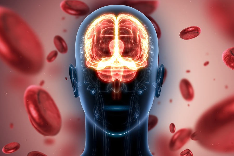 【Nature】麻省理工研究人员创建新的细胞图谱，发现治疗“捷径”，有望预防神经退行性疾病的发生！