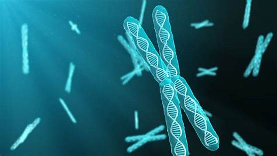 【Nature子刊】新发现——稳定染色体以应对肿瘤！