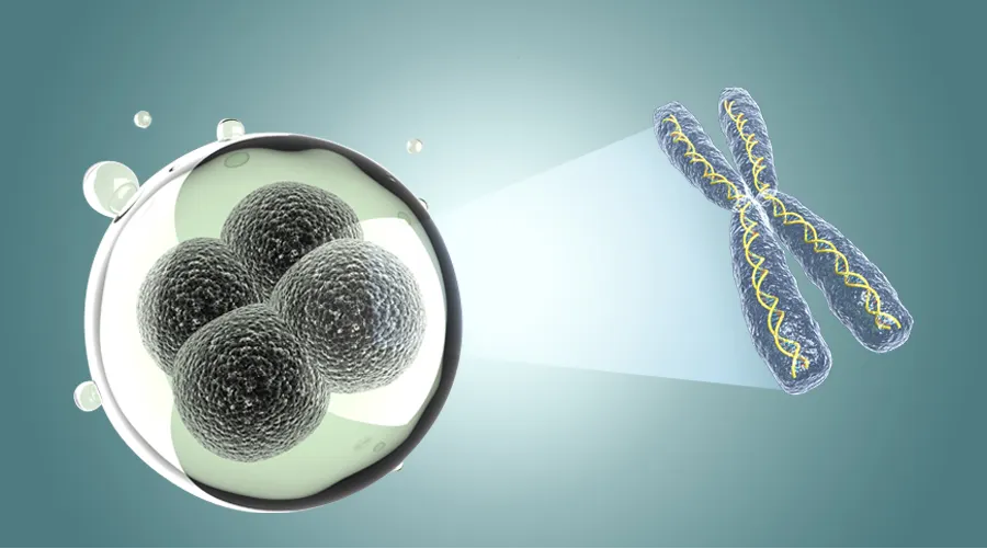 【Cell子刊】研究人员成功绘制了弥漫性大B细胞淋巴瘤的单细胞转录组图谱，有助于HBV阳性B细胞淋巴瘤患者的治疗