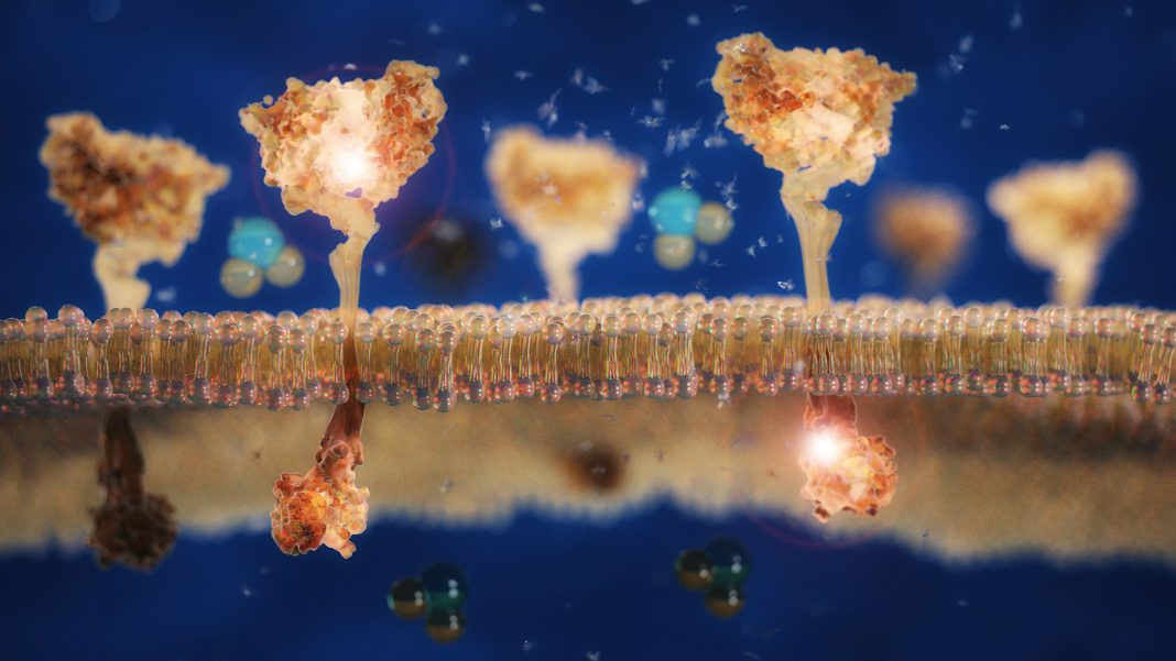 【Circulation】脂质组学：为心血管疾病和2型糖尿病提供新的生物标志物