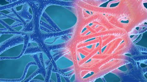 【Science子刊】从“生长端”阻止炎症！