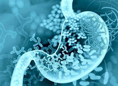 【Science子刊】肠道微生物组作为“健康指南针”——新模型以80%的确定性预测慢性肝病