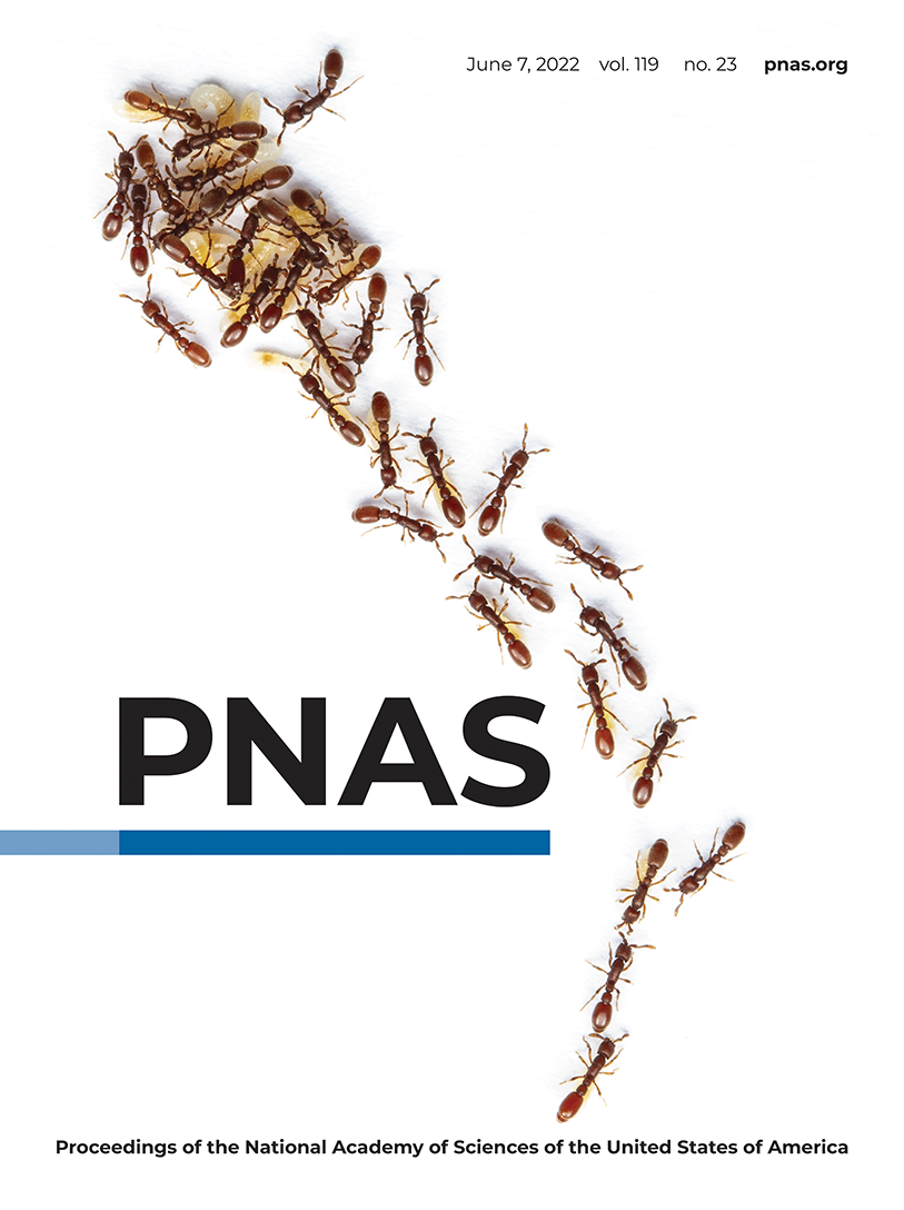 疫情期间，美国竟然有33万新冠死亡本可避免！——果真如此吗？