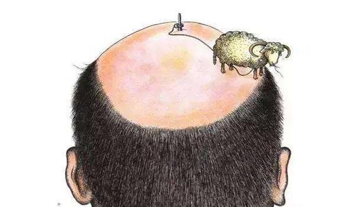 【Nature子刊】含泪挥别脱发？生发和免疫系统之间存在惊人关联！