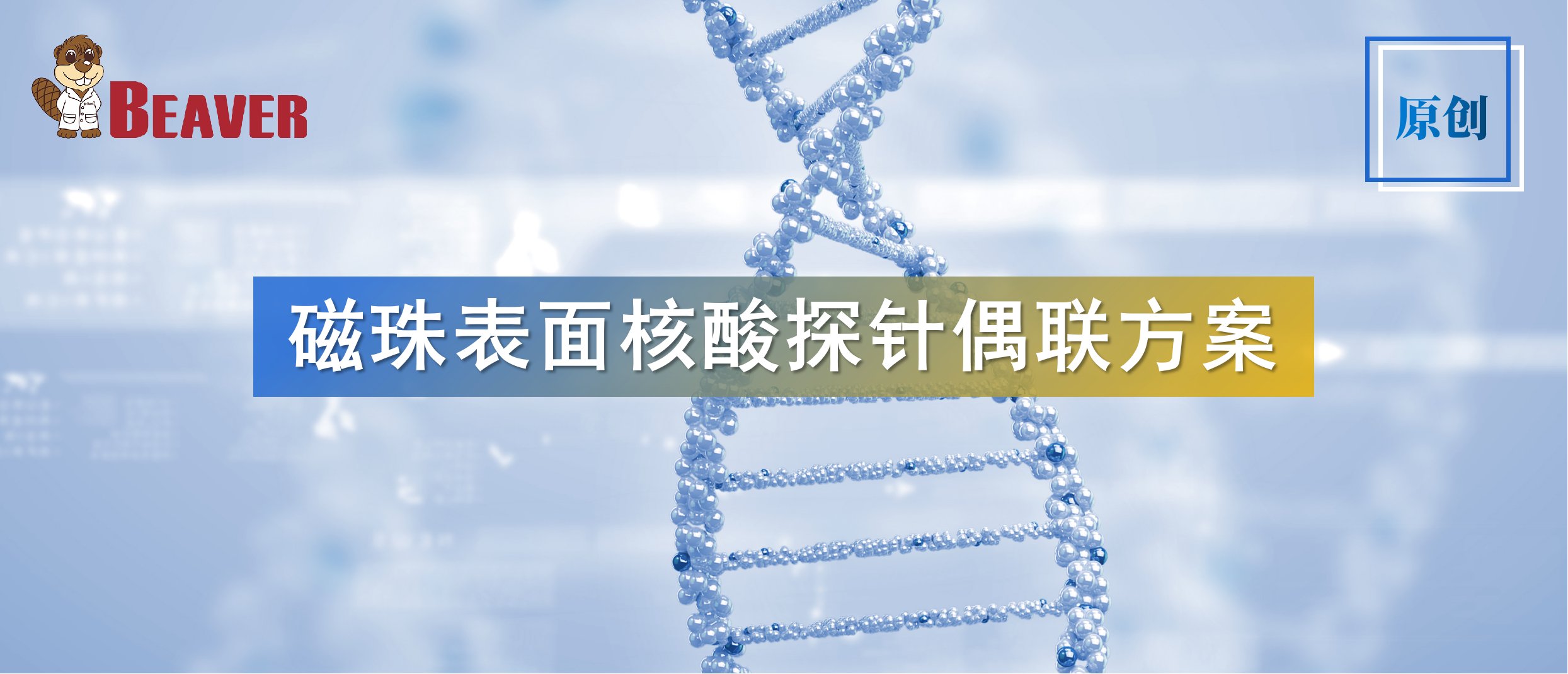 原创干货︱磁珠表面核酸探针偶联方案（内附探针偶联一览表）