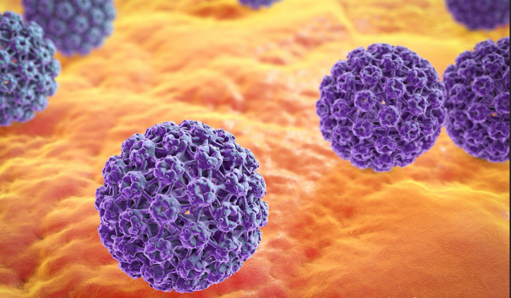 【CELL DEATH DIS】齐鲁医院团队揭示宫颈癌潜在的预后标志物及治疗靶点!