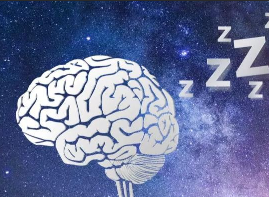 【柳叶刀子刊】复旦大学团队通过转录组分析探索阿尔兹海默病生物标记物！