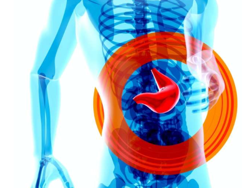 【Nature】关于人们为什么对食物没有免疫反应的解释！