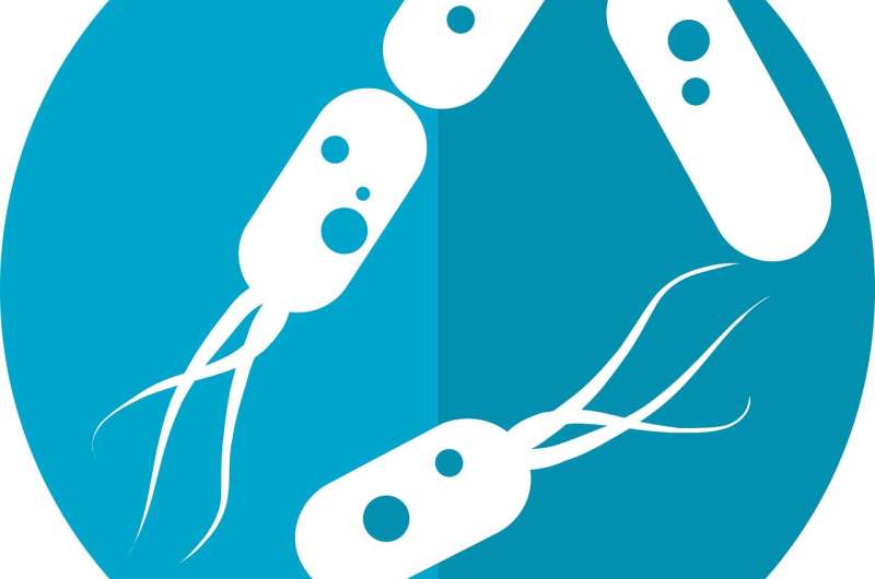 【Nature】这种脂质竟能引发免疫反应！破译肠道细菌如何参与免疫过程