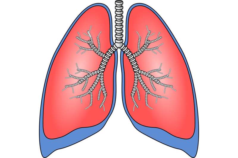 【Nature子刊】跨祖先全基因组关联研究——揭示了肺癌的新遗传风险因素