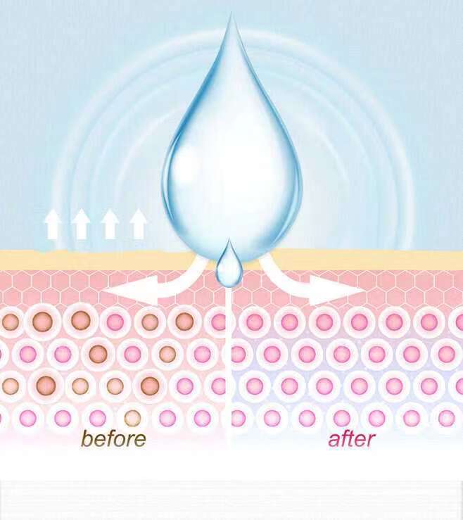 【Nature子刊】夏天怕晒伤？科学家确定控制皮肤再生的关键机制