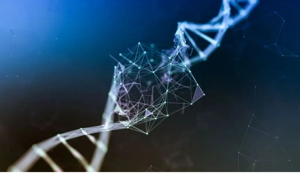 【Science子刊】王泽峰/汪洋团队联合发文——癌症中广泛的长度依赖性剪接失调