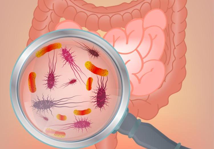 【Gut】未来15年青年肠癌发病率翻倍？复旦大学马延磊团队最新研究揭密