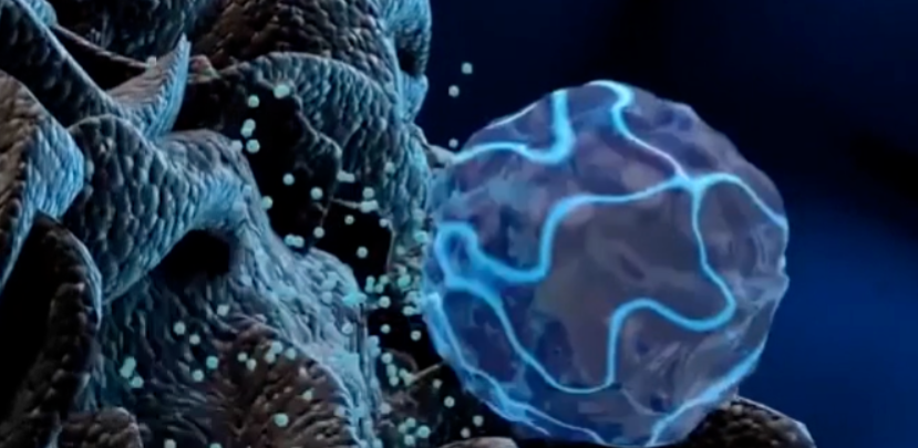 【Nature子刊】自然机制导致T细胞活化敏感性增加50倍