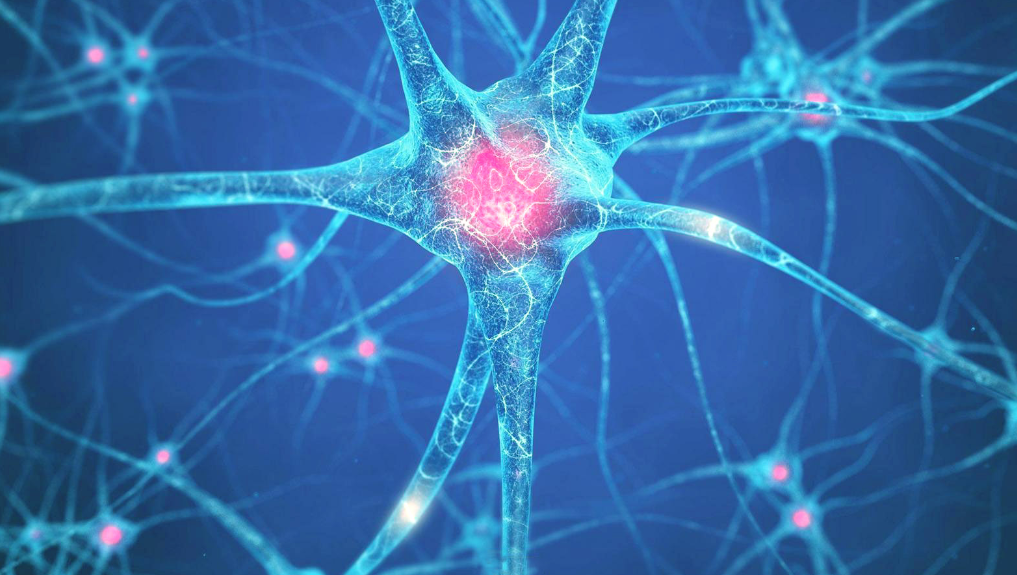 【PNAS】重磅！实验室分子展现惊人抗癌特性