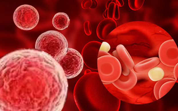 【Nature子刊】转录共激活因子TAZ：改善细胞衰老引起的功能下降