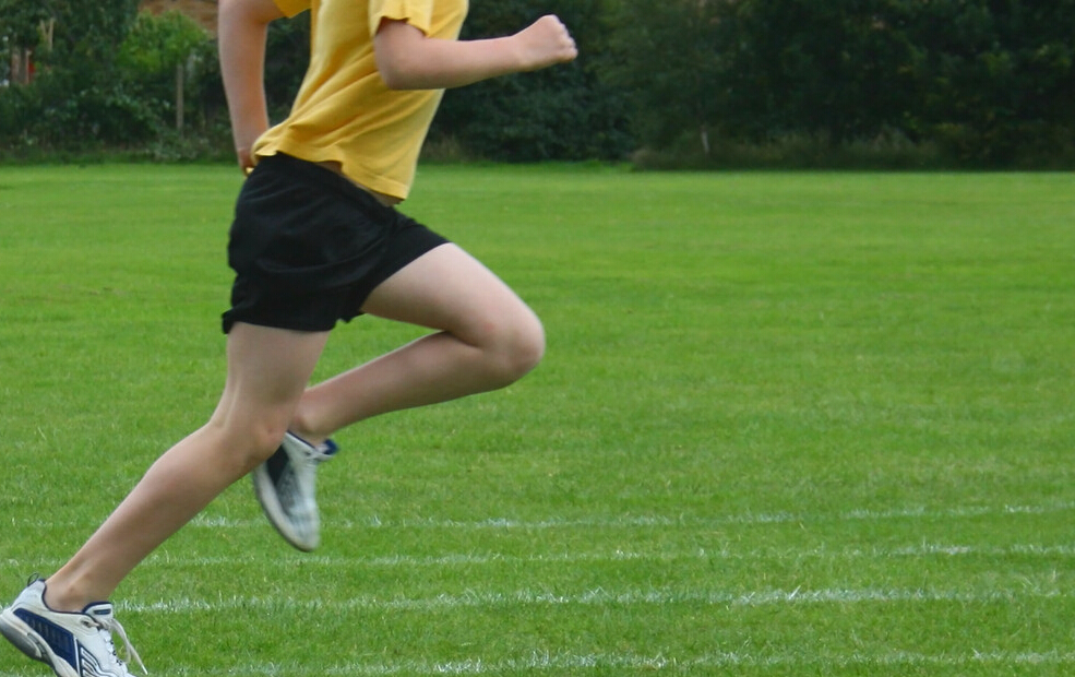 【Cell子刊】坐着也能减肥！激活比目鱼肌可提高代谢，预防慢性疾病