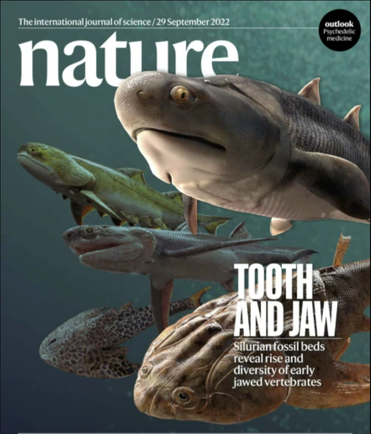 一天4篇Nature! 中科院朱敏院士团队“从鱼到人”探源研究取得重大突破