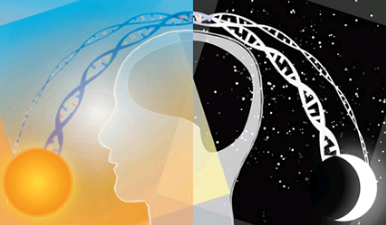 【Science子刊】斯克里普斯研究所：昼夜节律紊乱增加癌症风险，体温调节为关键分子桥梁