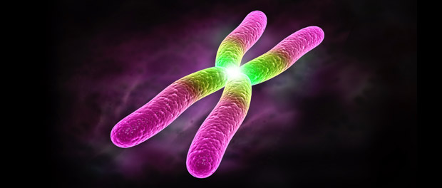 【Cell Research】北大汤富酬团队：一种长读单细胞ATAC测序方法，同步检测染色质可及性和遗传变异