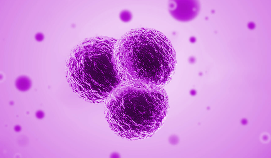 【Nature】北大张宁/张泽民/朱继业：靶向肿瘤中性粒细胞或成肝癌治疗新策略