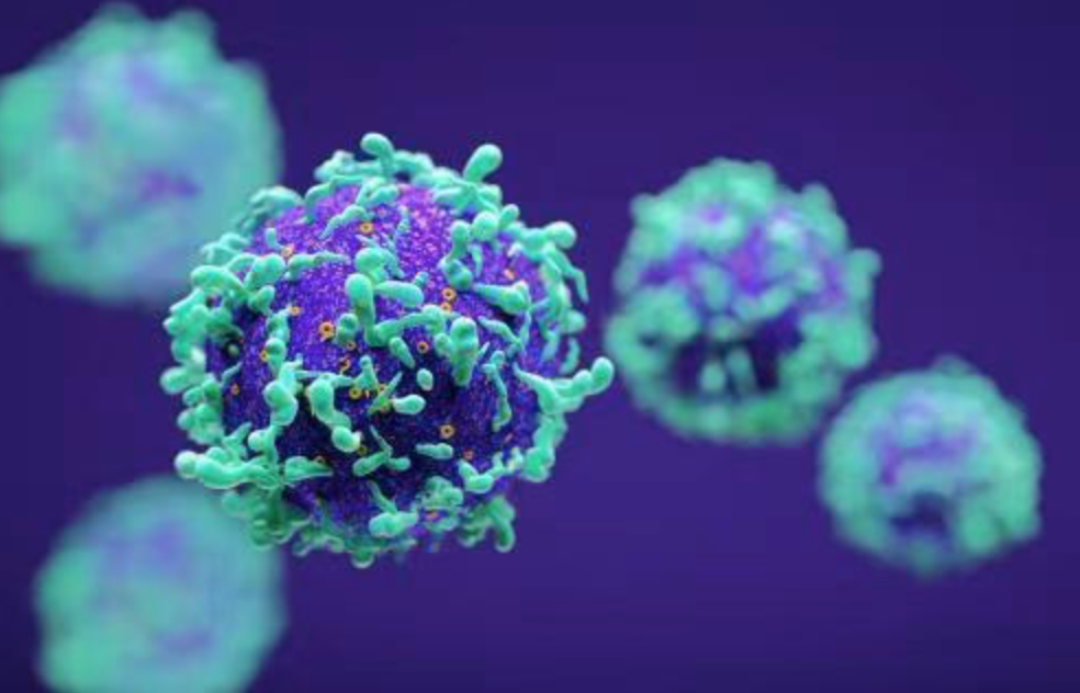 【Nature子刊】中山大学徐瑞华团队研究证明一种新的可对抗晚期实体瘤的 CYH33抑制剂