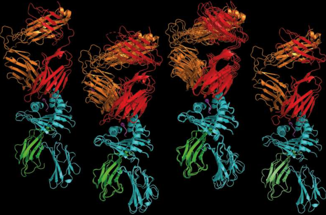 【Nature】强强联合！斯坦福大学、华盛顿大学和牛津大学合作开发新方法发现自身免疫起源，颠覆数年错误认知！