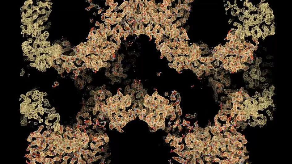 【Nature】诺奖技术新贡献！研究人员揭示了驱动肠癌发展的关键蛋白质结构