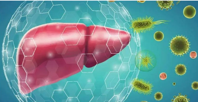 上海六院联合揭示了无创诊断NASH的潜在生物标志物