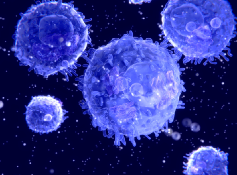 【Cell】癌症免疫疗法最新研究：叶丽林/唐忠辉/孙倍成教授等发现全新肿瘤记忆性T细胞