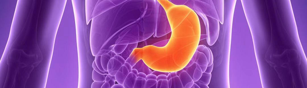 【PNAS】北大肿瘤医院吴健民/季加孚团队发现胃癌细胞代谢重编程的新机制