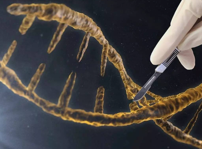 【Cell】诺奖得主Doudna团队研究发现大量病毒中存在CRISPR系统以及更小更高效的Cas酶