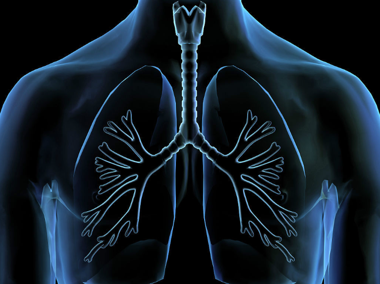 用新冠病毒治疗癌症？美国科学家发现新冠刺突蛋白能抑制肺癌发展