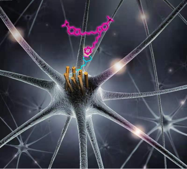 【Nature子刊】“点击”化学的又一应用：精准识别癌细胞蛋白，助力疾病追踪