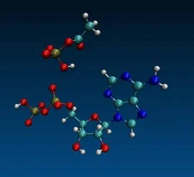 【PLOS BIOL】古代化学解释为什么生物使用ATP作为通用能源货币