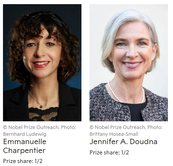 诺贝尔化学奖即将揭晓——一个与生命科学紧密相连的奖项