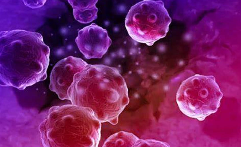 【ADV SCI】南京大学等合作开发新型纳米平台，实现恶性肿瘤低氧微环境光动力/化疗协同治疗