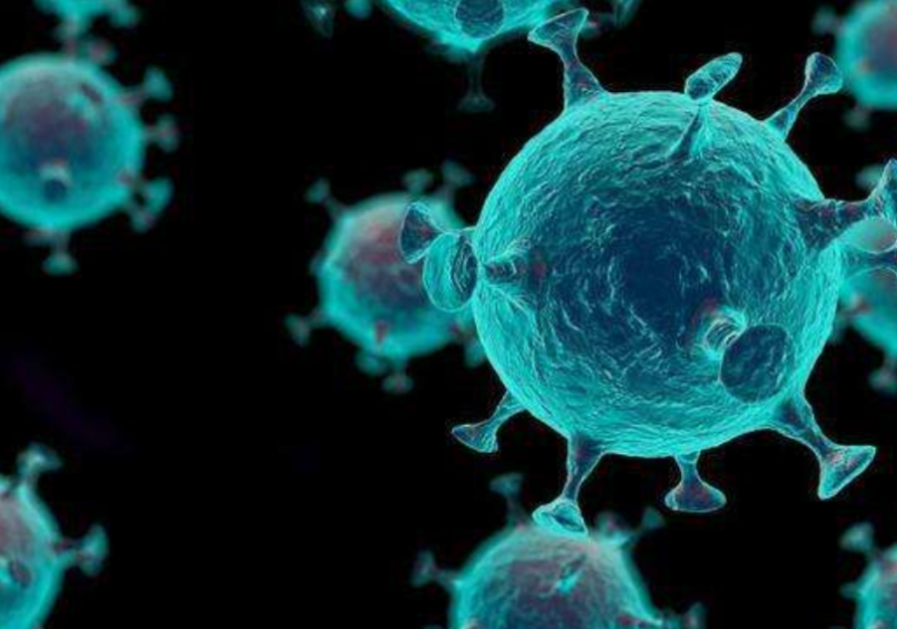 【Nature子刊】100%有效对抗新冠引发的脑损伤！这种新冠牛痘疫苗可阻止脑病毒复制