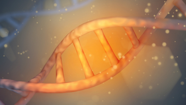 北大李川昀课题组提出人类特有新基因起源自lncRNA的“偷渡者假说”，揭秘“人之所以为人”分子基础